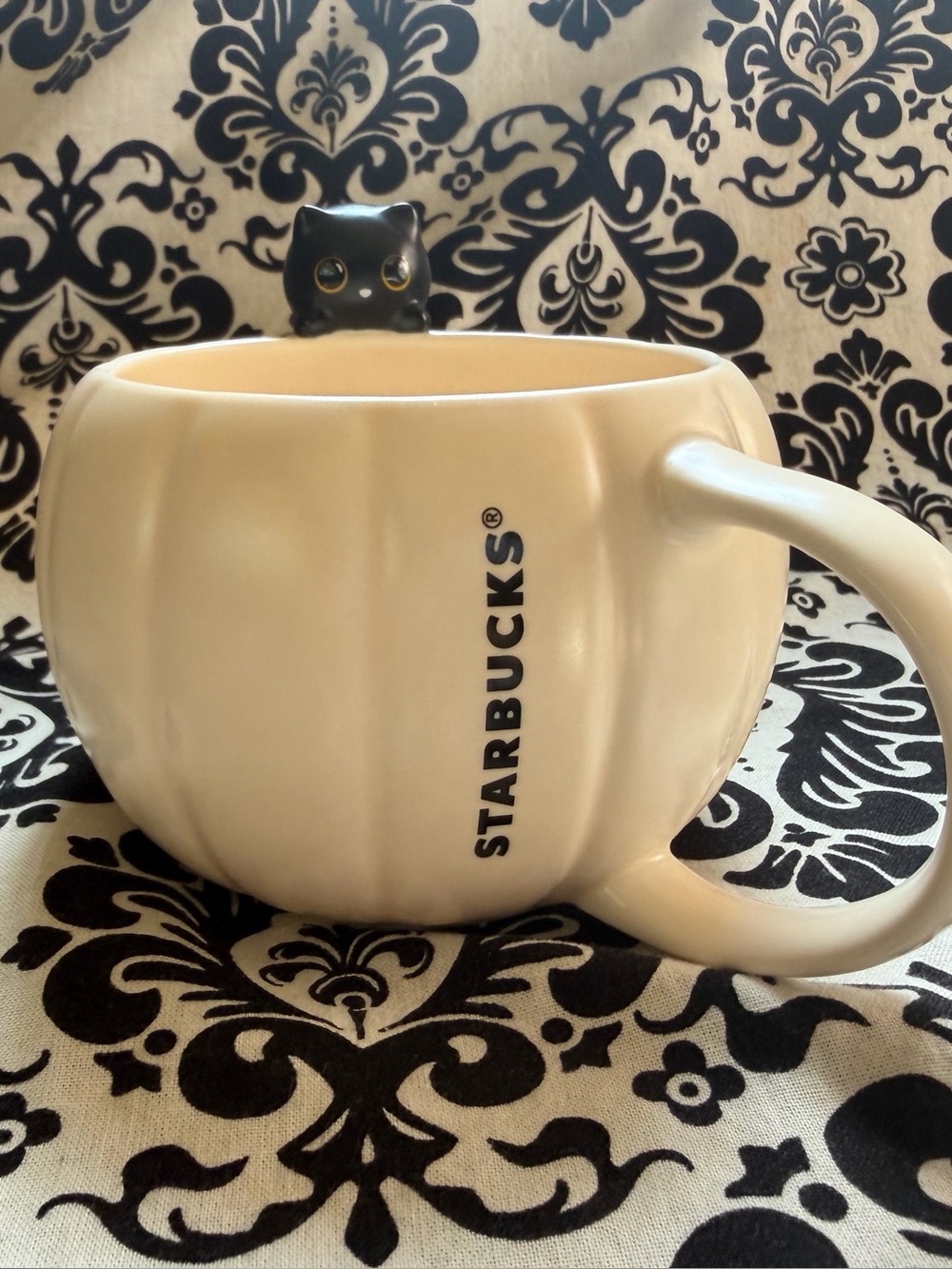 Starbucks Cream White Pumpkin-Shaped Ceramic Mug With Black Cat